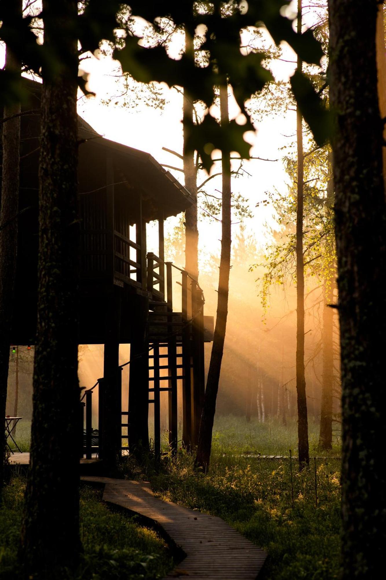 Sambliku Treehouse Villa Jogisoo Exterior photo